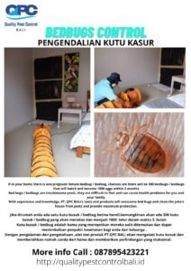 Bedbugs/Pengendalian Kutu Kasur