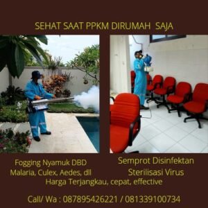 Jasa Fogging dan Semprot Disinfektan Daerah Bali