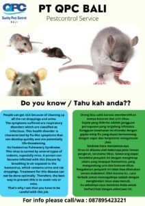 Tikus Dapat Menyebarkan Penyakit