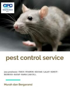 Rats Control (Rodent Control)