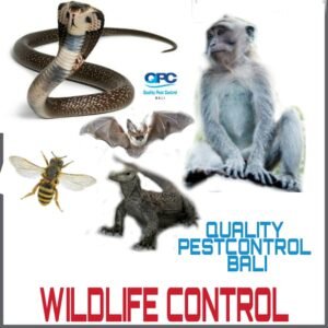 QPC Wildlife Progra